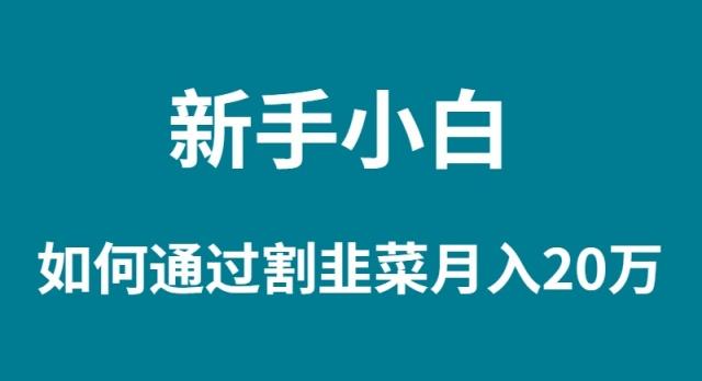 (9308期)新手小白如何通过割韭菜月入 20W-爱我搜(25so)资源网