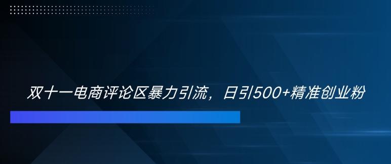 双十一电商评论区暴力引流，日引500+精准创业粉【揭秘】-爱我搜(25so)资源网