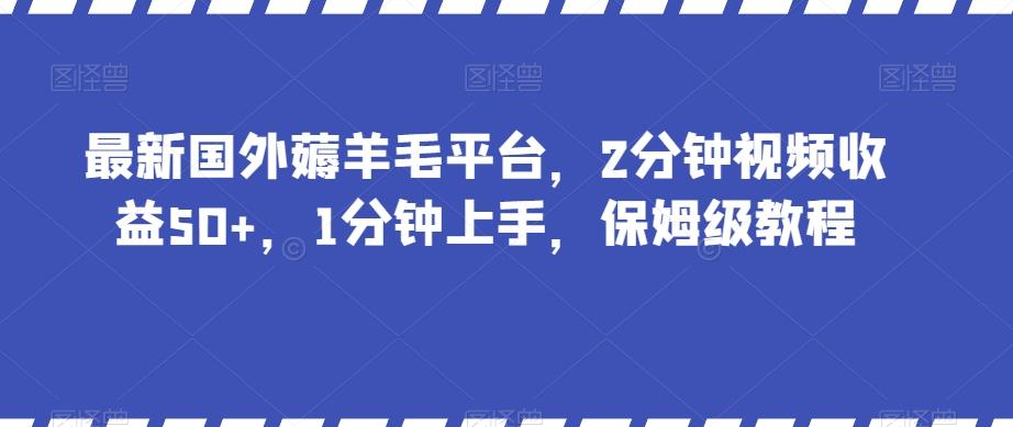 最新国外薅羊毛平台，2分钟视频收益50+，1分钟上手，保姆级教程【揭秘】-爱我搜(25so)资源网