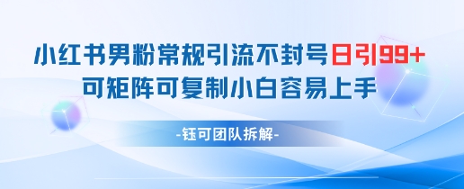 小红书男粉常规引流不封号日引99+变现简单 可矩阵可复制小白容易上手-爱我搜(25so)资源网