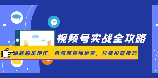 视频号实战全攻略，爆款脚本创作，自然流直播运营，付费投放技巧-爱我搜(25so)资源网