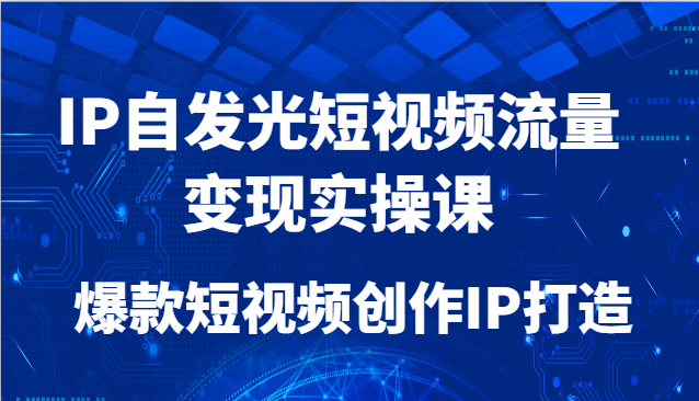 IP自发光短视频流量变现实操课，爆款短视频创作IP打造-爱我搜(25so)资源网
