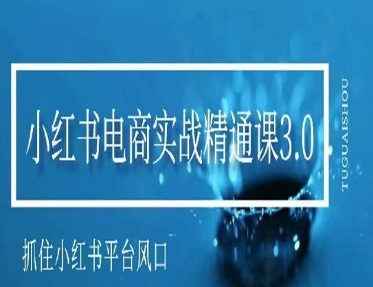 小红书电商实战精通课3.0，抓住小红书平台的风口，不错过有一个赚钱的机会-爱我搜(25so)资源网