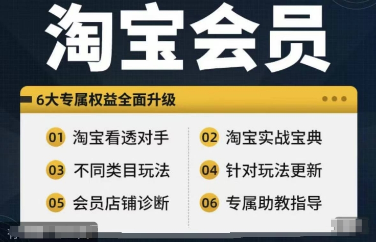淘宝会员【淘宝所有课程，全面分析对手】，初级到高手全系实战宝典-爱我搜(25so)资源网