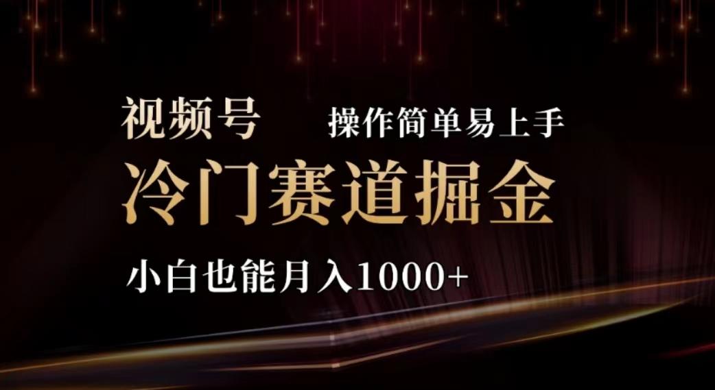 2024视频号冷门赛道掘金，操作简单轻松上手，小白也能月入1000+-爱我搜(25so)资源网