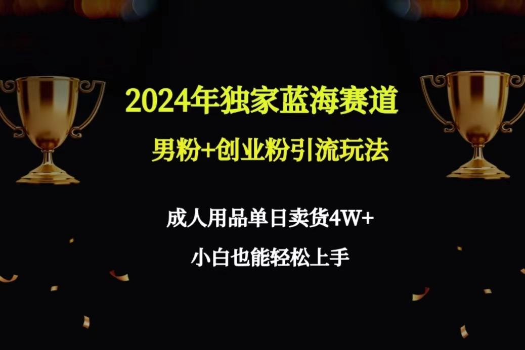 2024年独家蓝海赛道男粉+创业粉引流玩法，成人用品单日卖货4W+保姆教程-爱我搜(25so)资源网