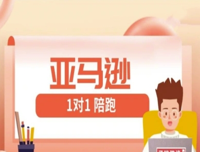 亚马逊1对1陪跑课(FBA/FBM精铺)跨境亚马逊教程-爱我搜(25so)资源网