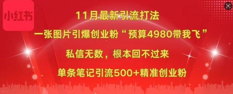 小红书11月最新图片打粉，一张图片引爆创业粉，“预算4980带我飞”，单条引流500+精准创业粉-爱我搜(25so)资源网