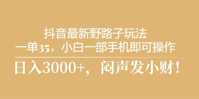抖音最新野路子玩法，一单35，小白一部手机即可操作，，日入3000+，闷…-爱我搜(25so)资源网