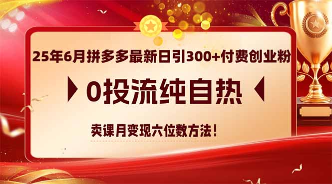 25年6月拼多多最新日引300+付费创业粉，0投流纯自热 卖课月变现六位数方法-爱我搜(25so)资源网