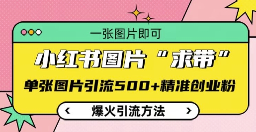小红书图片‘求带’爆火引流法，单张图片引流500+精准创业粉【揭秘】-爱我搜(25so)资源网