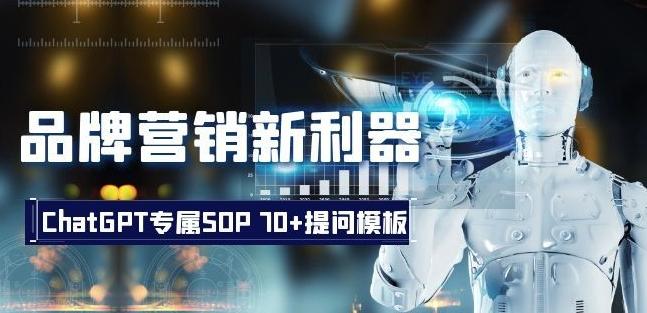 品牌营销新利器：ChatGPT专属SOP，70+提问模板【文档】-爱我搜(25so)资源网