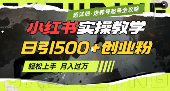 2月小红书最新日引500+创业粉实操教学【超详细】小白轻松上手，月入1W+，附小红书养号起号SOP-爱我搜(25so)资源网
