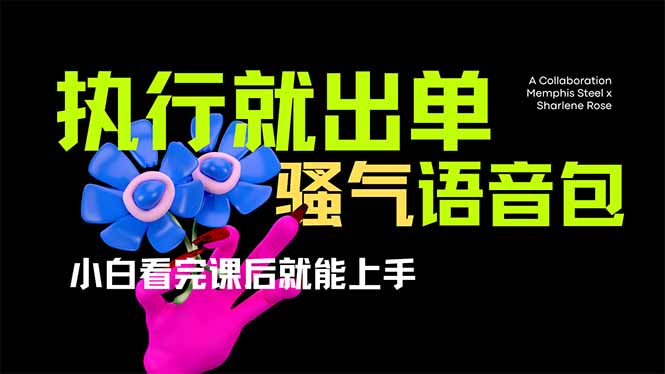 爆火全网的开车导航骚气语音包,只要执行就出单，小白看完课程就能实操…-爱我搜(25so)资源网