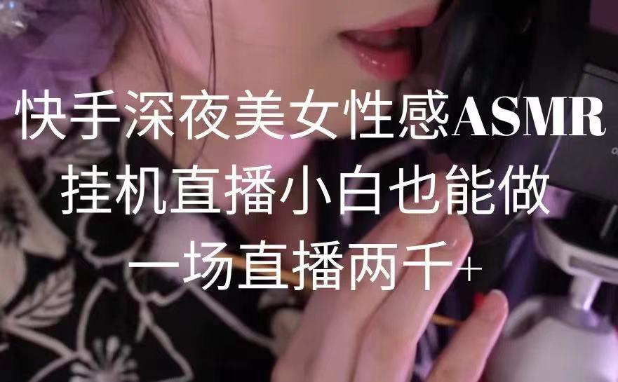 快手深夜美女性感ASMR挂机直播，小白也能做，一场直播两千+-爱我搜(25so)资源网