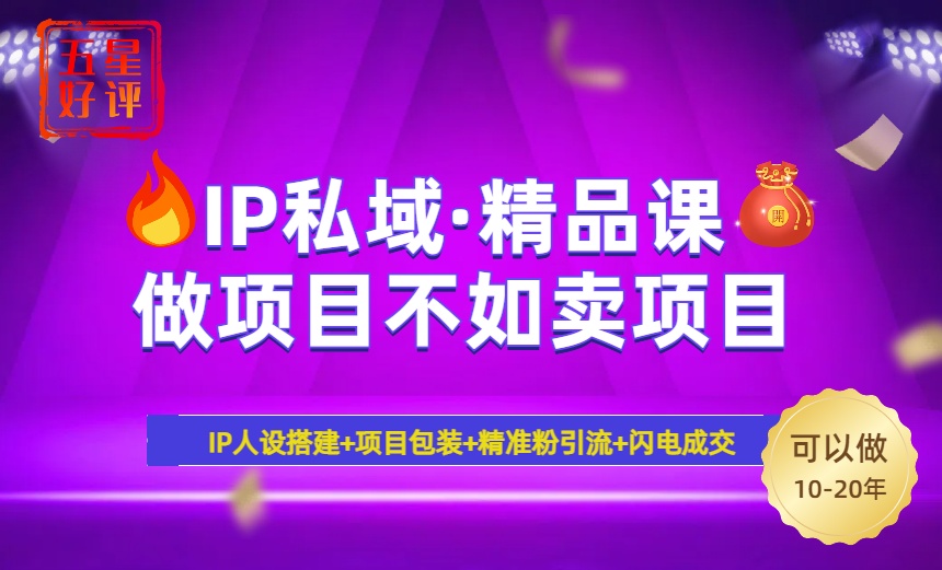 2025年“IP私域·密训精品课”，日赚3000+小白避坑年赚百万，暴力引流…-爱我搜(25so)资源网
