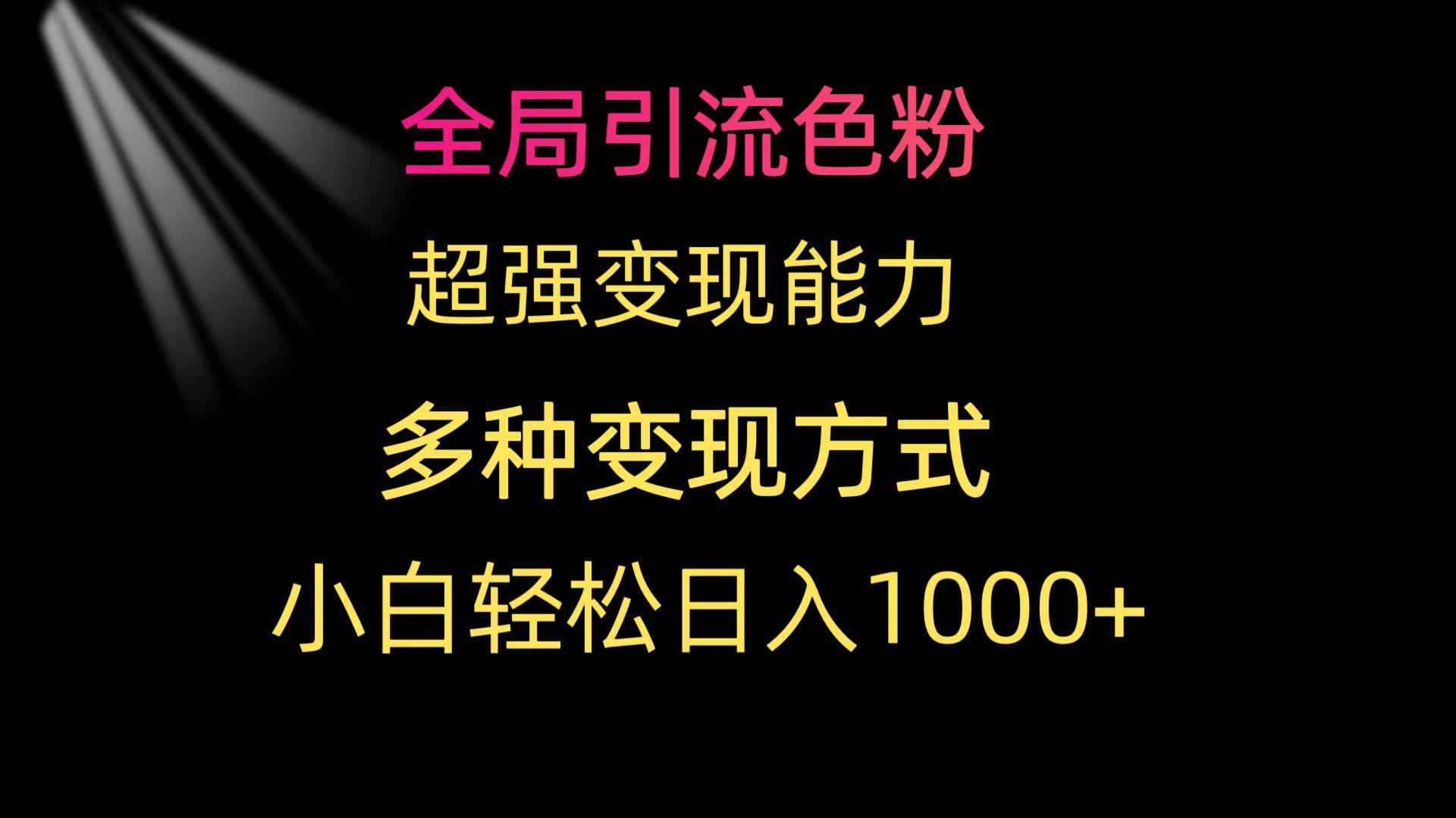 (9680期)全局引流色粉 超强变现能力 多种变现方式 小白轻松日入1000+-爱我搜(25so)资源网