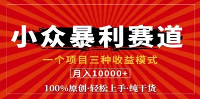 视频号最新爆火赛道，三种可收益模式，0粉新号条条原创条条热门 日入1000+-爱我搜(25so)资源网