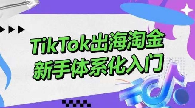 TikTok出海淘金，新手体系化入门，零基础快速入门，掌握短视频、直播带货等引流到变现的知识-爱我搜(25so)资源网