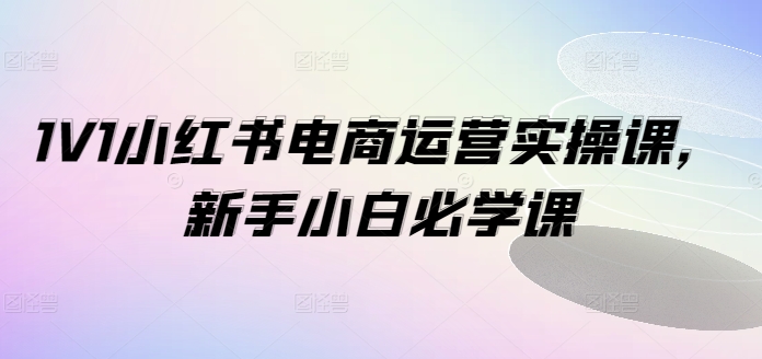 1V1小红书电商运营实操课，新手小白必学课-爱我搜(25so)资源网