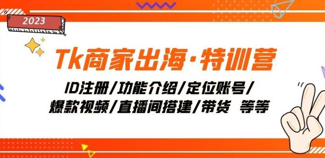 Tk商家出海·特训营：ID注册/功能介绍/定位账号/爆款视频/直播间搭建/带货-爱我搜(25so)资源网