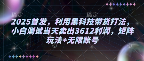 2025首发，利用黑科技带货打法，小白测试当天卖出3612利润，矩阵玩法+无限账号【揭秘】-爱我搜(25so)资源网