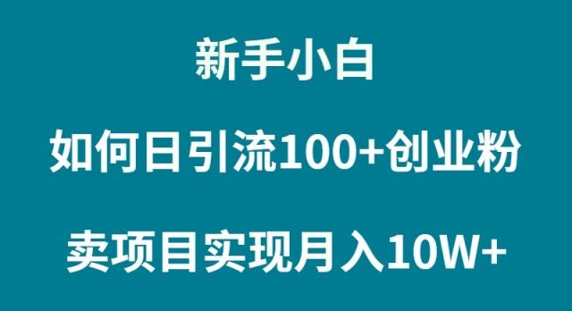 (9556期)新手小白如何通过卖项目实现月入10W+-爱我搜(25so)资源网