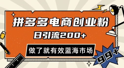 拼多多引流电商创业粉，日引200+，可矩阵放大，做了就有效【揭秘】-爱我搜(25so)资源网