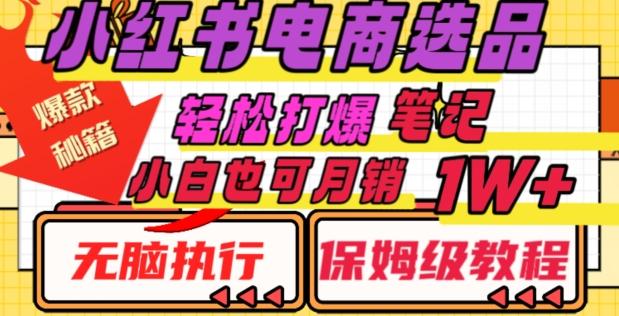 小红书电商爆款选品秘籍，帮你轻松打爆笔记，小白也可轻松月销10000+-爱我搜(25so)资源网