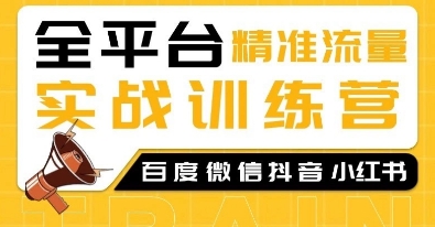 全平台精准流量实战训练营，百度微信抖音小红书SEO引流教程-爱我搜(25so)资源网