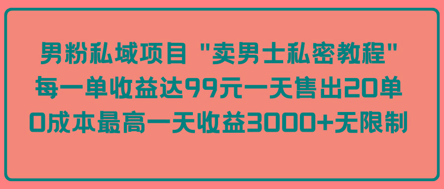 (9730期)男粉私域项目 “卖男士私密教程” 每一单收益达99元一天售出20单-爱我搜(25so)资源网