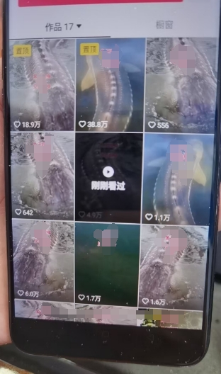 外面卖399的国学佛像原创暴力起号技术，快速起号，7天可达到一个万粉号-爱我搜(25so)资源网