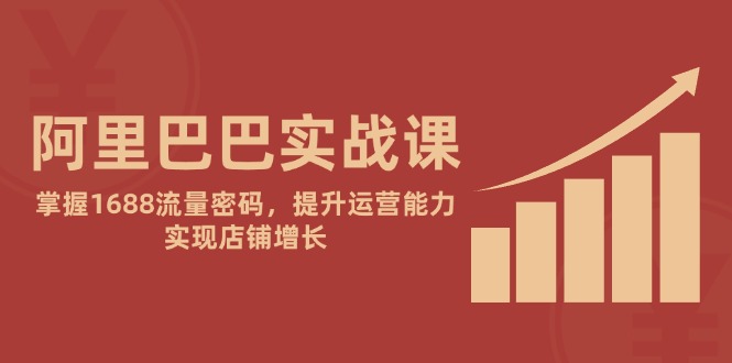 阿里巴巴实战课：掌握1688流量密码，提升运营能力，实现店铺增长-爱我搜(25so)资源网