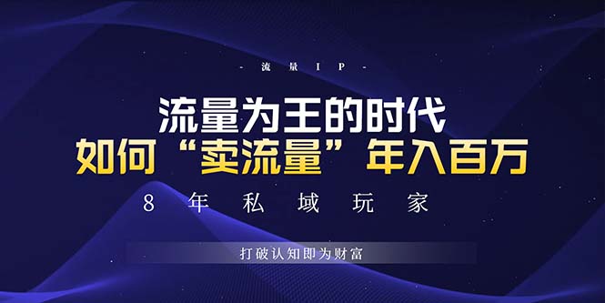未来如何通过“卖流量”年入百万，跨越一切周期绝对蓝海项目-爱我搜(25so)资源网