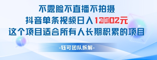 不露脸不直播不拍摄抖音单条视频日入1k+这个项目适合所有人长期积累的项目-爱我搜(25so)资源网