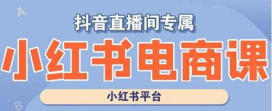 小红书电商高级运营课程，实操教学+案例分析-爱我搜(25so)资源网