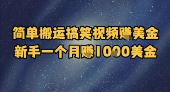 简单搬运搞笑视频挣美金，新手一个月入1k美金-爱我搜(25so)资源网
