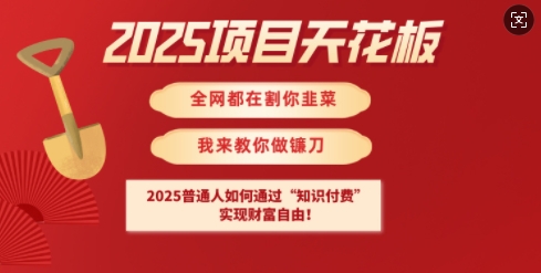 2025项目天花板普通人如何通过知识付费，实现财F自由【揭秘】-爱我搜(25so)资源网